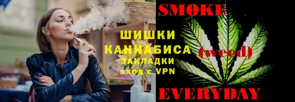 прущие грибы Аркадак