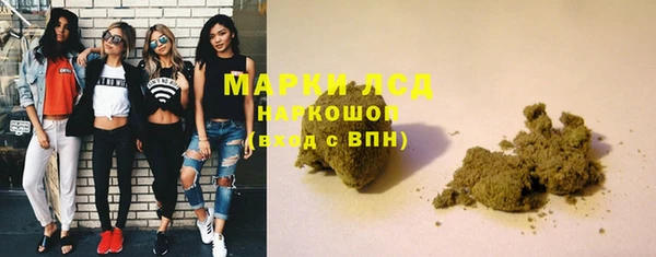 прущие грибы Аркадак