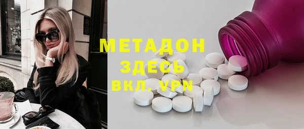 прущие грибы Аркадак