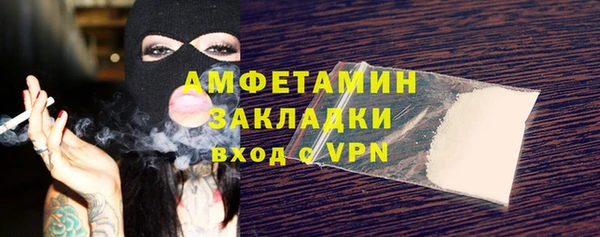 прущие грибы Аркадак