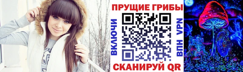 купить закладку  Юрюзань  Псилоцибиновые грибы мухоморы 